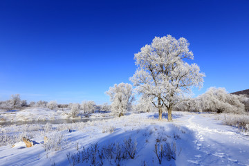 winter landscape