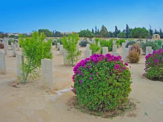 Stoff pro Meter Egypte, cimetière militaire El Alamein © foxytoul