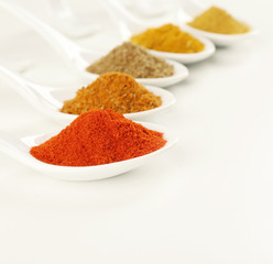 Different kinds of spices in ceramics spoons isolated on white