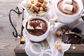 Obraz na płótnie Canvas Hot chocolate with marshmallows in mug,