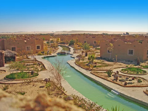 Les Oasis de Siwa - Adobe Stock