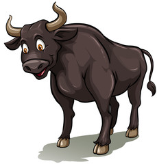 An idiom showing a bull