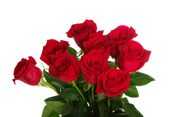 Red roses