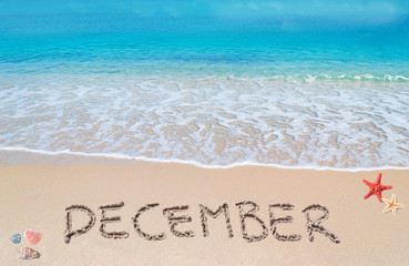 december on a tropical beach