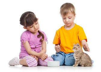 happy child feeding kitten