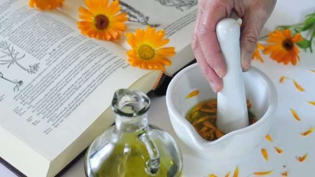 Ringelblumen&ouml;l herstellen