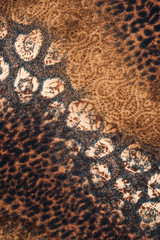 texture of print fabric stripes leopard