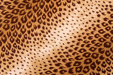 texture of print fabric striped leopard