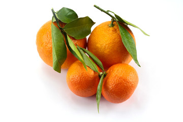 agrumes