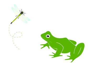 Obraz premium Grenouille face à une libellule