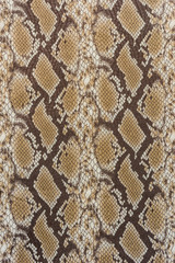 texture of print fabric stripes snake leather