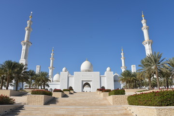 Fototapeta na wymiar Beautiful mosque, Abu Dhabi