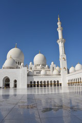 Fototapeta na wymiar Moskee in Abu Dhabi