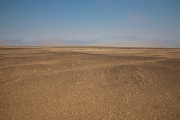 Desert landscape