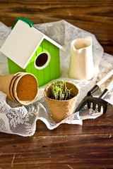 Peat pots, bird-house, seedlings and garden tools