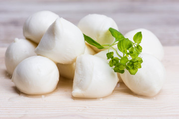 mozzarella cheese