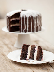 chocolate cake with coconut icing