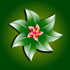 Fantastic flower on gradient background