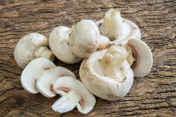 Champignons mushrooms
