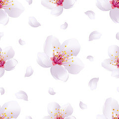 Fototapeta na wymiar Spring background seamless pattern with sakura blossom