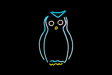Neon light owl