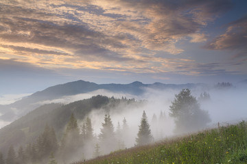 Amazing sunrise in the mountains with fog and sun. Carpathian Mo
