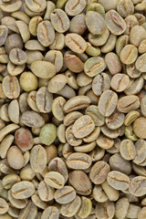 green coffee background