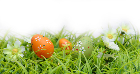 Easter eggs on grass