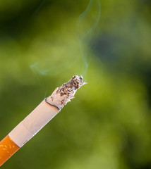 burning cigarette on green background