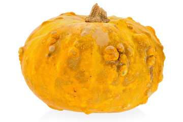 Yellow decorative pumpkin on a white background