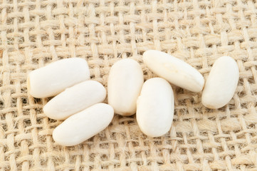 cannellini beans