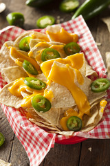 Homemade Nachos with Cheddar Cheese