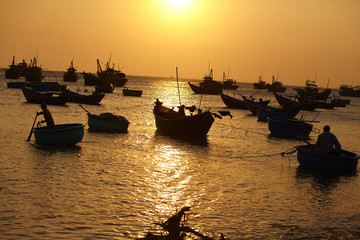 boats