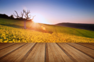 Beautiful sunrise over field of rapeseed in countryside in Sprin