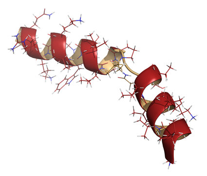 Melittin Peptide Toxin. Major Component Of Apitoxin (honey Bee)