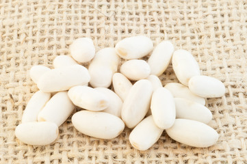 cannellini beans
