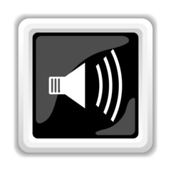 Speaker icon