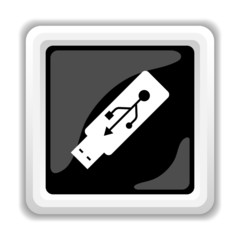 Usb flash drive icon