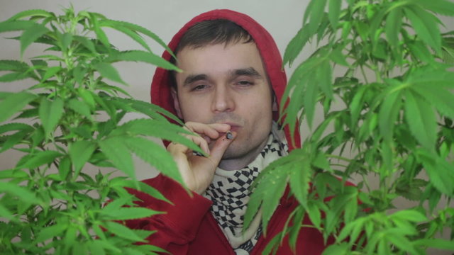 Man smoking Marihuana joint