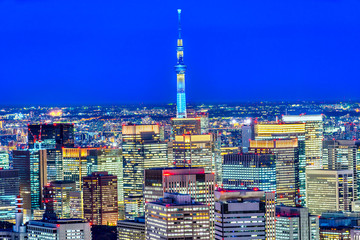 Tokyo skyline,  Japan.