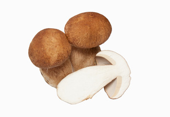 Large cut double cep
