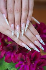 nail extension
