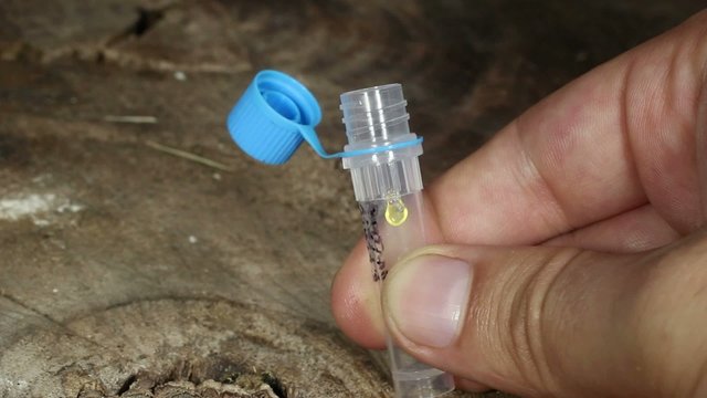 Snake venom in a vial