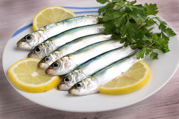 sarde - sardines - сардины - sardinas