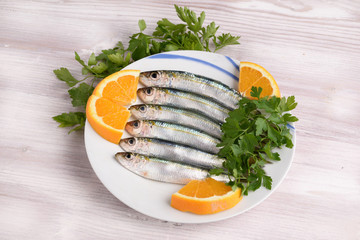sarde - sardines - сардины - sardinas