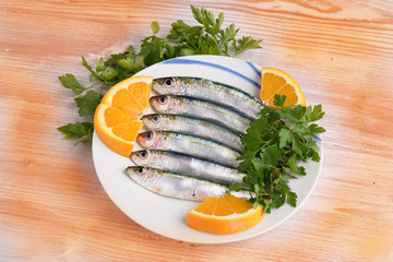 sarde - sardines - сардины - sardinas