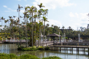 Fototapeta premium アジアンガーデン