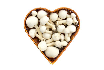 Raw white wild mushrooms champignons Agaricus in basket isolated - 78563200