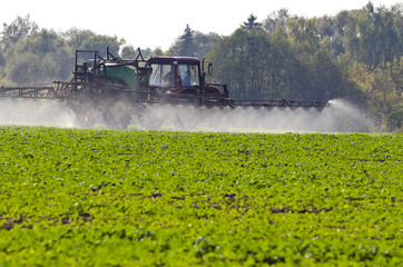 Fototapeta premium Tractor spray fertilize with insecticide herbicide in field