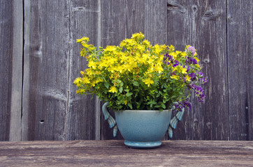 Fototapeta na wymiar beautiful wild summer medical flowers in vase